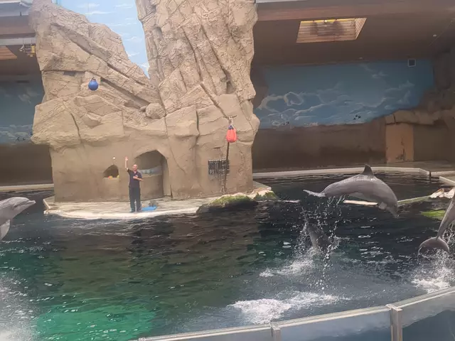 Delfinshow im Duisburger Zoo | Foto: Astrid Günther