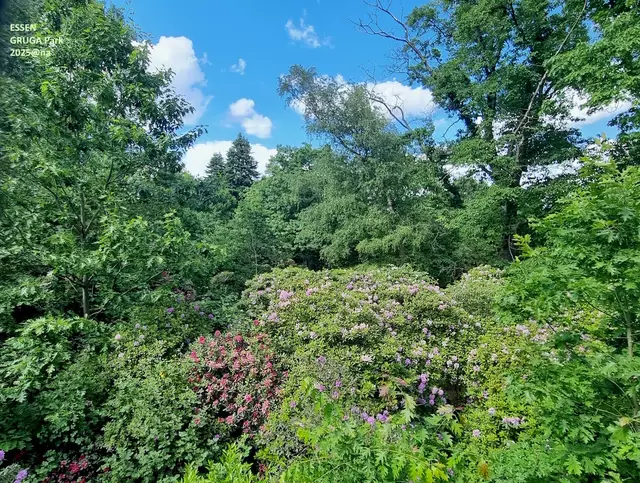 GRUGA Park Essen
Mai 2025@ana´