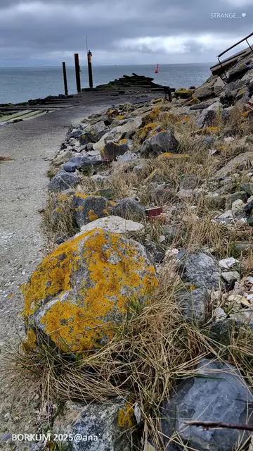 ganz anderS... meine MEER-Bilder♥