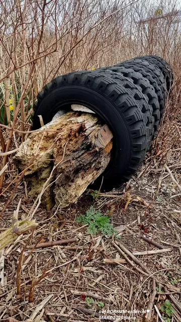 interessant bizarr anderS !♥

2025@ana´