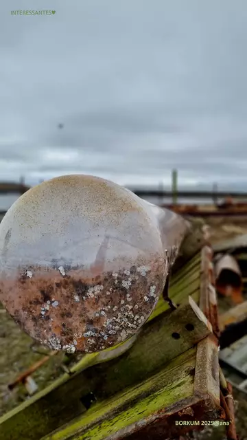 was´n´ das ???

anderS´ auf BORKUM
2025@ana´