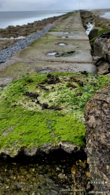 anderS, einfach anderSehen :-)

2025@ana´