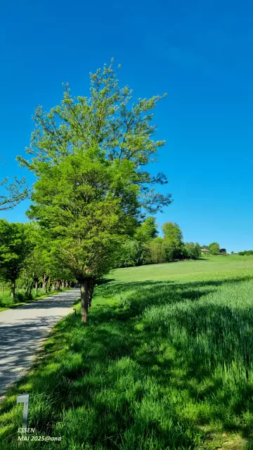 nice... noch ziemlich alleine hier