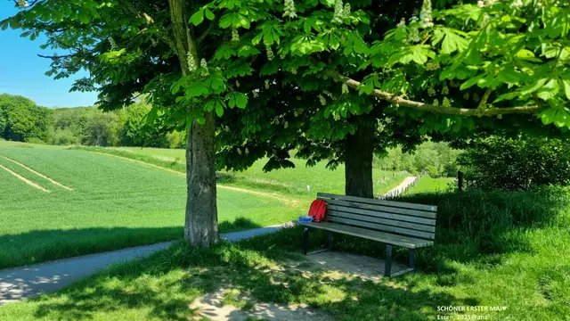 PAUSE im Schatten♥