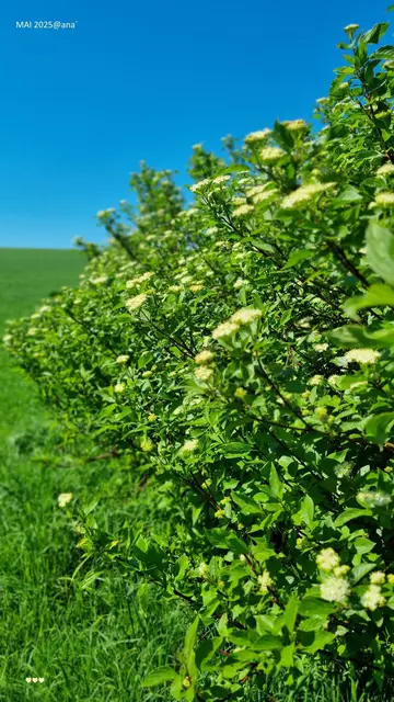 ESSEN... kann sich sehen lassen