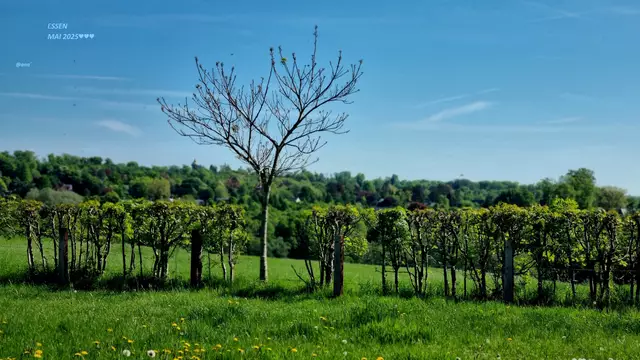 so richtig schön G R Ü N !