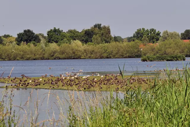 Die Rieselfelder sind eines von 35 Feuchtgebieten von internationaler Bedeutung in Deutschland.