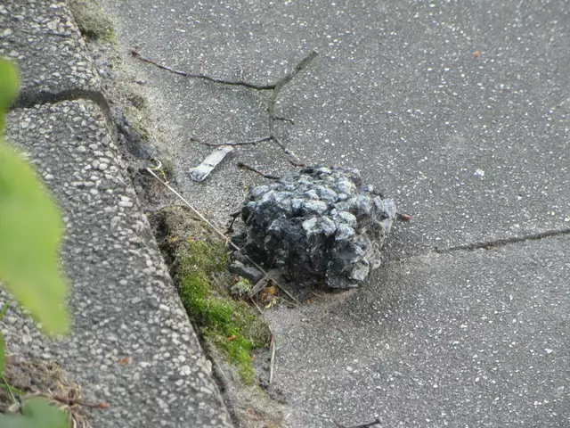 Täglich löst sich der Straßenbelag auf.