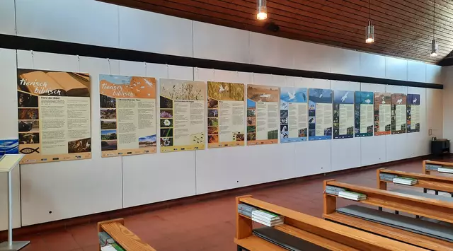 In der Kapelle des Universitätsklinikums Essen ist zurzeit eine Wanderausstellung über Tiere der Bibel zu sehen. | Foto: Kirchenkreis Essen/Friederike Seeliger