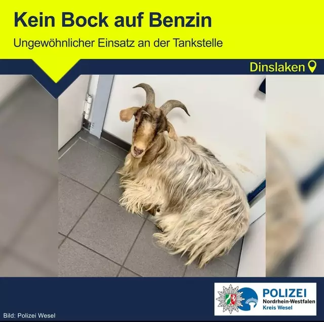 Bild / Text Polizei Wesel / Kein Bock auf Benzin/ Ungewöhnlicher Einsatz an der Tankstelle