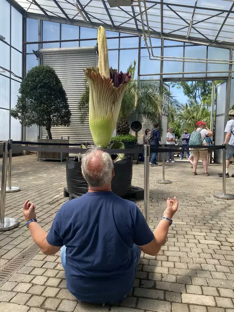 Kein Problem, alles OK nur genießen | Foto: Umbehaue