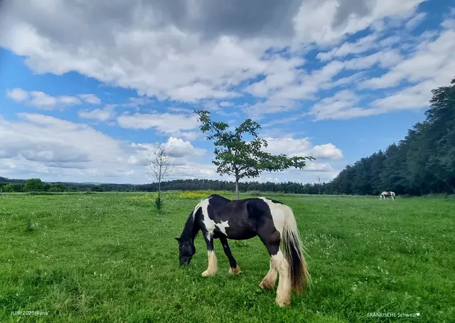 Wolken und Sonne ...im Wechsel