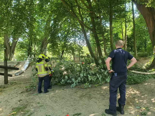 Foto: Foto: Siegfried Schönfeld 