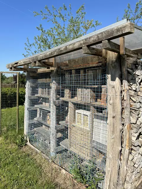 Insektennistwand in der NABU-Naturarena | Foto: Gregor Alms