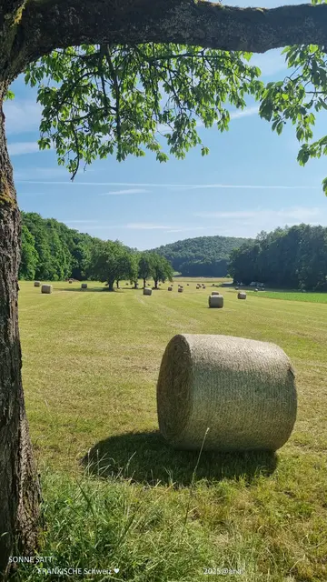 HEIß in der JUNI Sonne