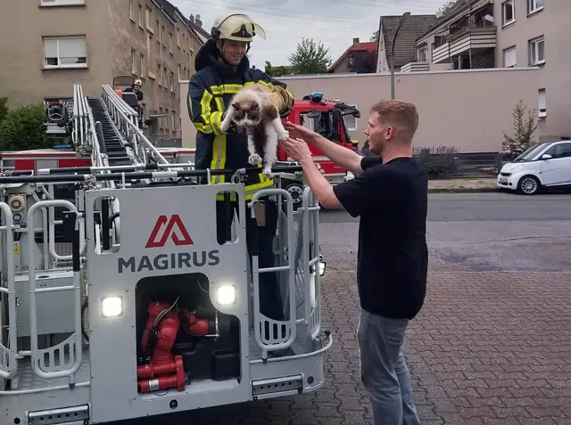 Dort konnte "Loki" seinen glücklichen Besitzern übergeben werden. | Foto: Feuerwehr Bochum 