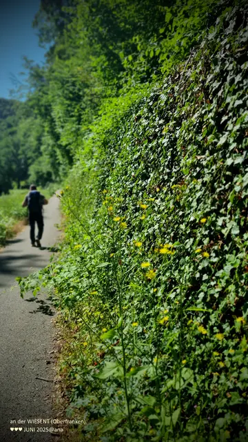 schöne Spaziergänge