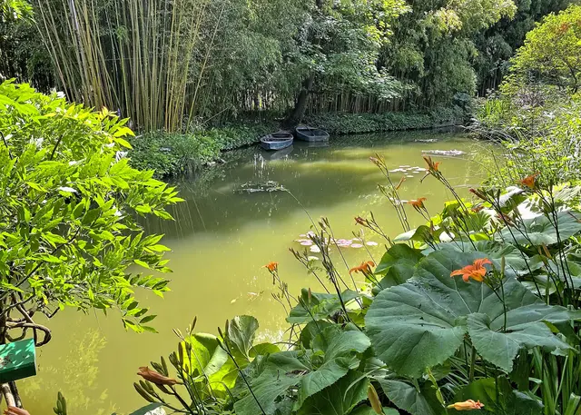 Wassergarten | Foto: c Margot Klütsch