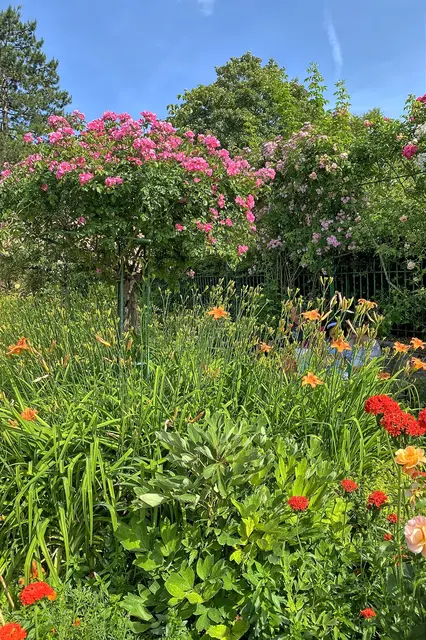 Im Blumengarten | Foto: c Margot Klütsch