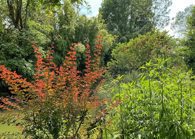 Foto: c Margot Klütsch