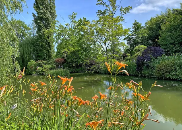 Im Wassergarten | Foto: c Margot Klütsch