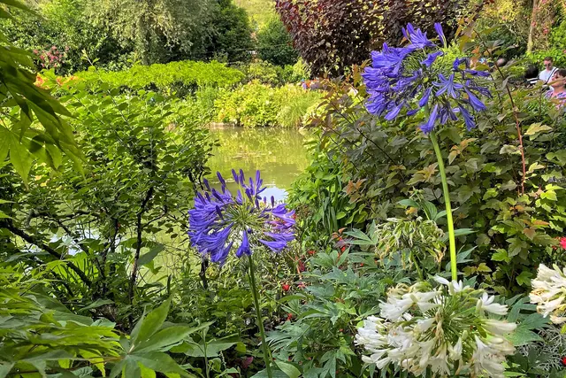 Im Wassergarten | Foto: c Margot Klütsch