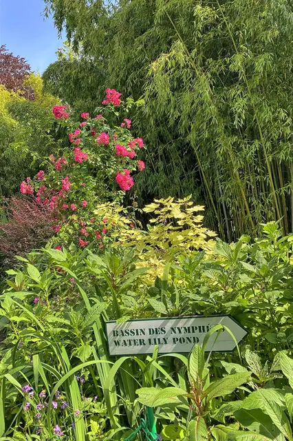 Foto: c Margot Klütsch