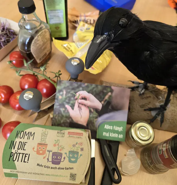 Die "Hexen-AG" kooperiert mit der Verbraucherzentrale? Da darf der Rabe Abraxas nicht fehlen! 