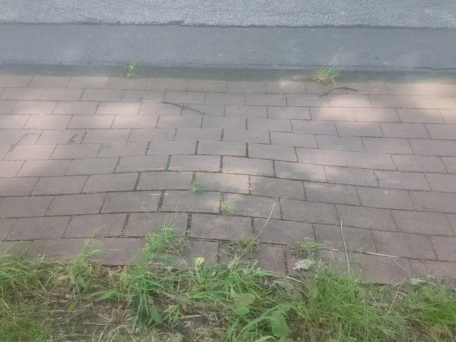 Buckelpistenradweg ( Verbindung zwischen Duisburg-Neudorf und dem Sportpark Wedau ) | Foto: Astrid Günther