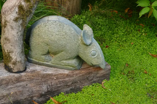 Unbekanntes Nagetier, Künstler unbekannt