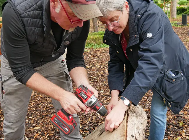 Friedhofsgärtner Ulrich Bylsma und Susanne Gutjahr-Maurer befestigen den ersten Stern. | Foto: Kirchenkreis Essen/Stefan Koppelmann
