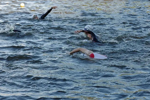 Foto: Stepahanie Albert auf Pixabay