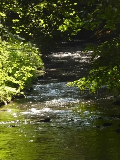 Bachlauf in der Sonne
©  Kreis Recklinghausen, Svenja Küchmeister