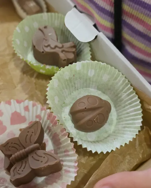 Geschmolzene faire Schokoladen wurden geschmolzen, in Form gegossen und kalt gestellt. Fertig! 