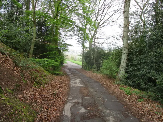 Am Ruhrhöhenweg wird eine Fläche von rund 2.000 Quadratmetern saniert. | Foto: Stadt Hattingen