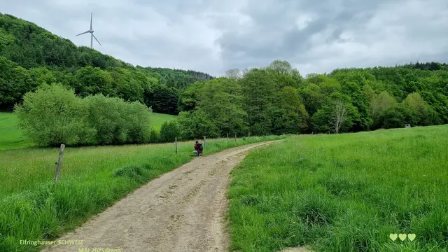 in RUHE und grüner NATUR spazierend....