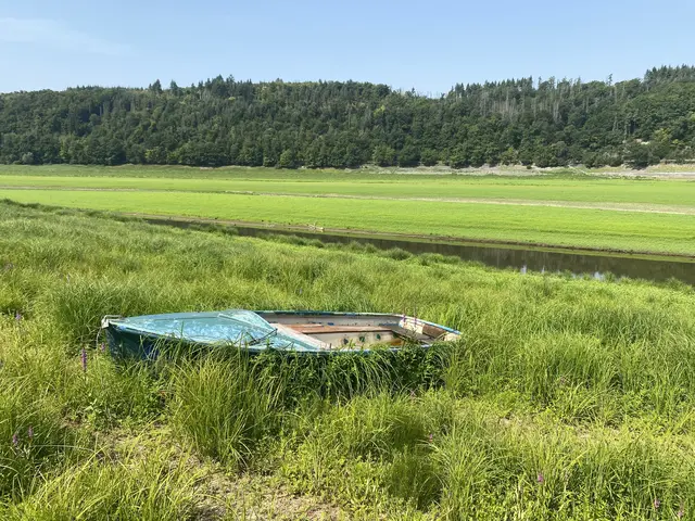 An der alten Wasser Linie auf dem trockenen | Foto: Umbehaue