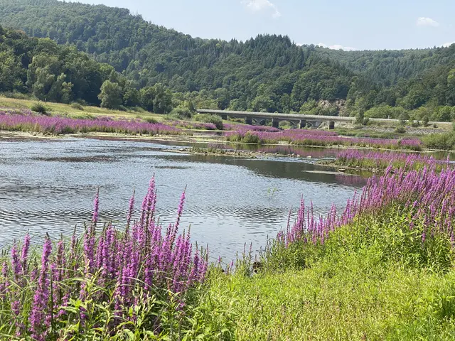 Blühende Landschaft | Foto: Umbehaue