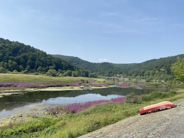 Stillleben | Foto: umbehaue