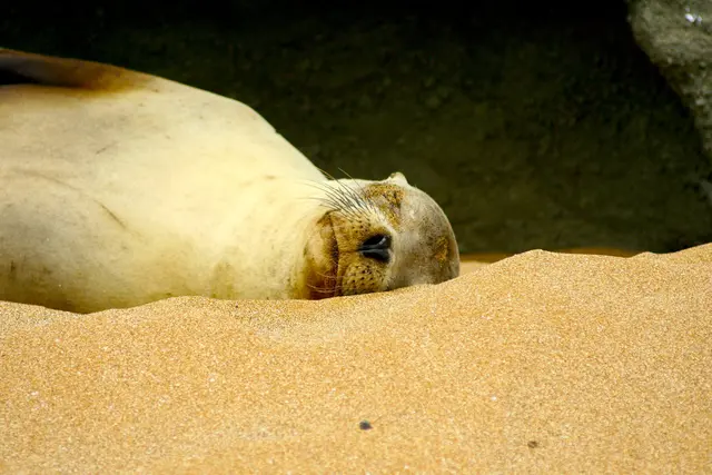 ...ich wollte schon die Nase zu halten;-))