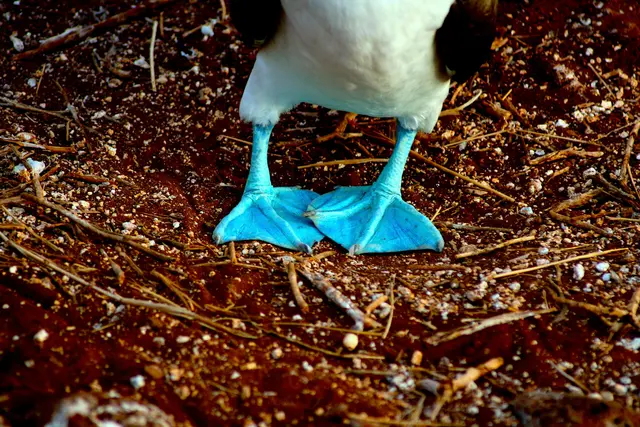 Das kommt davon wenn man zu lange im kalten Wasser steht.