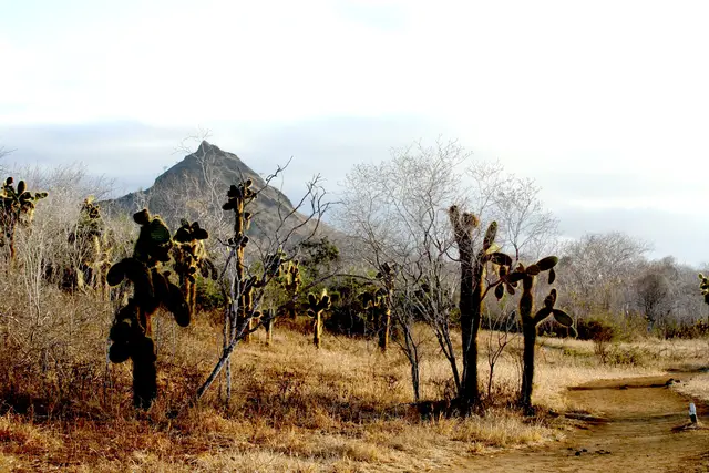 Santa Cruz mit den erloschenen Vulkanen.