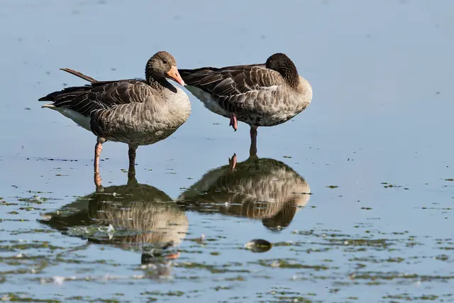 Einmal Pause muss sein.