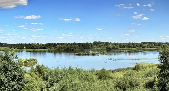 Panoramablick auf den Großen Stauteich.