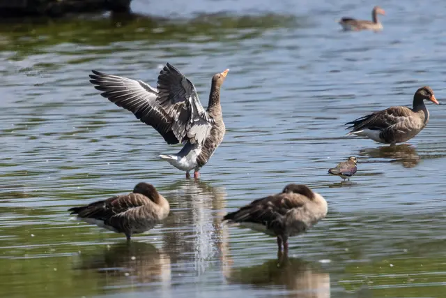 Einmal kräftig strecken