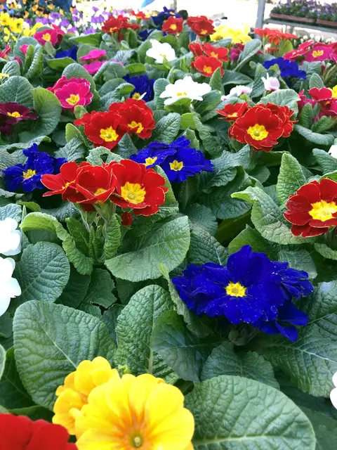 Foto: Bochum Marketing