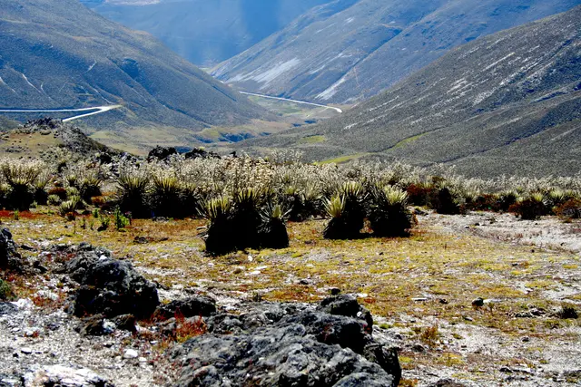 ca. 3000m Höhe in den Anden