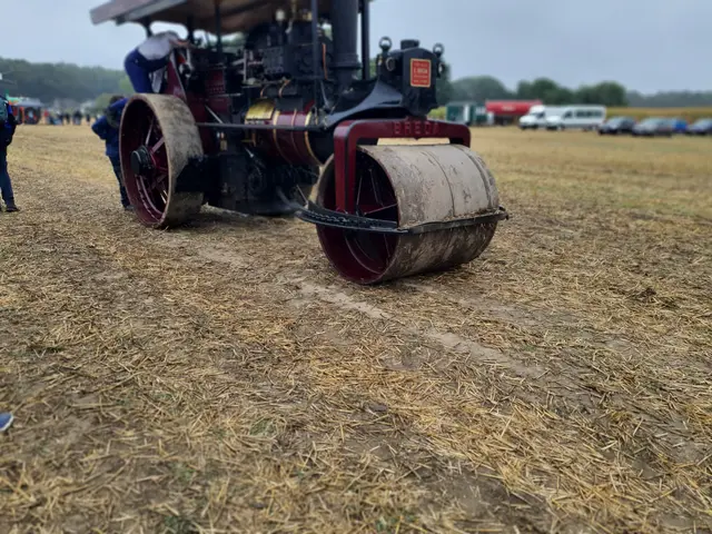 Foto: Foto: Siegfried Schönfeld 