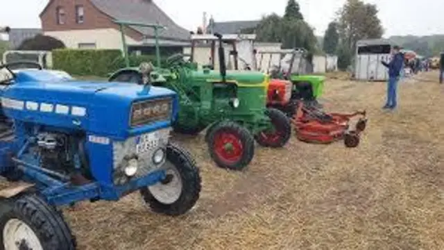 Foto: Foto: Siegfried Schönfeld 