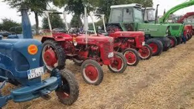 Foto: Foto: Siegfried Schönfeld 